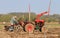 Old red massey fergusen tractor at ploughing match