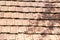 Old red and orange weathered roof tiles texture. Close-up