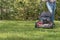 Old red push lawn mower cutting grass in blue jeans sunny shady spring day