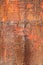 Old red rusted iron plate, vertical photo texture