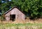 Old Red Shed in Trees and Weeds