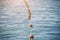 Old red styrofoam buoys on the rope lying on the beach of the sea