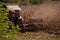 an old red tractor chopping corn in the field. mechanized agriculture in the village. maize cutter