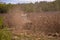 an old red tractor chopping corn in the field. mechanized agriculture in the village. maize cutter