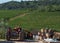 Old red tractor, still working, with blown carboys for wine beside., On the opposite hill the geometric rows of vineyards