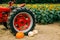 Old red vintage tractor in a sunflower field