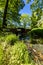 Old renovated retro bridge with green metal railings over small river in small colorful park