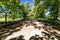 Old renovated retro bridge with green metal railings over small river in small colorful park