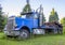 Old retro big rig blue semi truck tractor standing on the meadow with green grass and trees