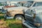 Old retro rusty abandoned cars in high green grass, cemetery of vintage autos