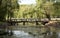 Old rickety Wooden Bridge in Hungary