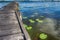 Old rickety wooden jetty leading into a lake