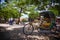 Old rickshaw resting in the shade of acacia trees