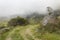 Old road contryside near to a big monoliths with andean cloudy forest