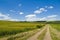 Old road in French countryside