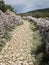 Old road, olive grove and stone walls near the city of Cres