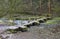 Old Rock Foot Bridge across the River Lathkill