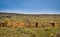 Old Rock Homestead Ruins