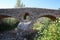 Old roman bridge at Pollensa. Mallorca