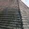 The old roof with moss-grown tiles