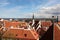 The old roofs of the old Tallinn from the side of the fortress walls.