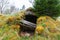 Old root cellar