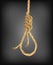 Old rope noose hangman