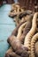 Old Ropes Lying on a Ship