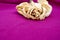 Old rose close up. Withering rose isolated on violet. Beige dried rose with place for text. Autumn flower.