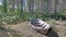 Old and rotten rowboat at the edge of Swedish forest