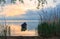 Old rowboat on the lake at sunset in summer