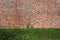 Old rugged brick wall with green grass