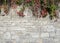 Old, rugged brick wall texture with bright fall greenery perfect for background