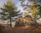 Old ruin brick house in the forest with pine trees