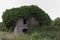 Old ruin house in Moriani Plage, San Nicolao, Corsica, France