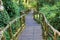 Old and Ruin wood walk path covered with moss and fern in green tropical forest