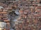 Old ruined brick wall, close up view