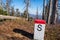 Old ruined forest on top of mountain with border stone, Czech and Slovakia border Velky Polom