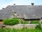 Old ruined home and plants, Lithuania