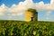 Old ruined medieval tower in vineyard in Medoc