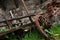 An old ruined rusty cart in a yard overgrown