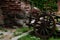 An old ruined rusty cart in a yard overgrown