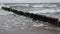 Old ruined wooden posts jetty piles on beach