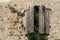 Old ruined  wooden rustic  window shutters of an abandoned house . Creeper plants grow  around it.