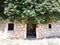 Old ruinous house covered with trees and leaves