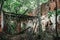 Old ruins of a medieval abandoned ruined red brick castle with arches overgrown with trees and plants