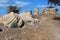 Old ruins in the park, Ashkelon, Israel