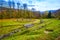 Old ruins in Sarmisegetusa Regia , Romania