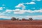 Old ruins among trees in outback.