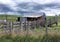 Old rundown shed and cattle yards